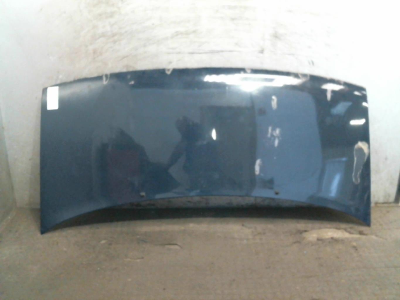Capot FIAT SCUDO 1 PHASE 1 Diesel - 1