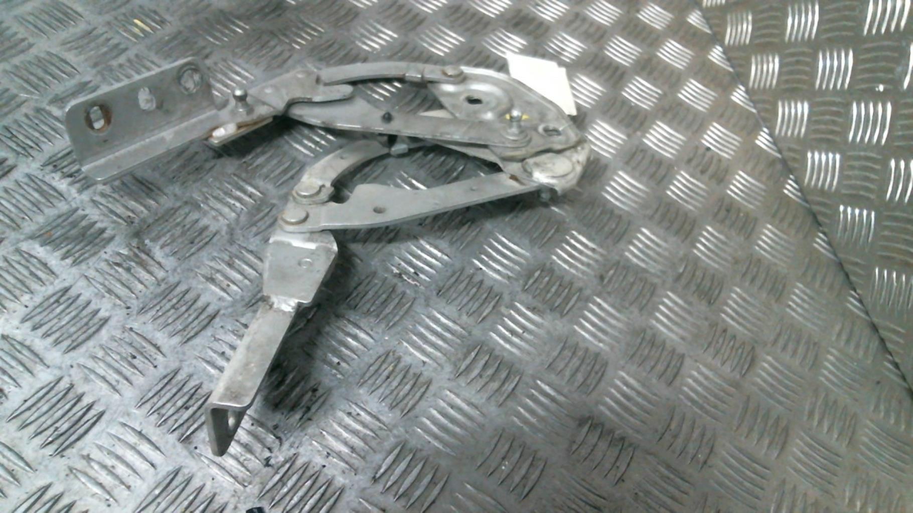 Cerniera cofano PEUGEOT 406 COUPE Gasolina - 1
