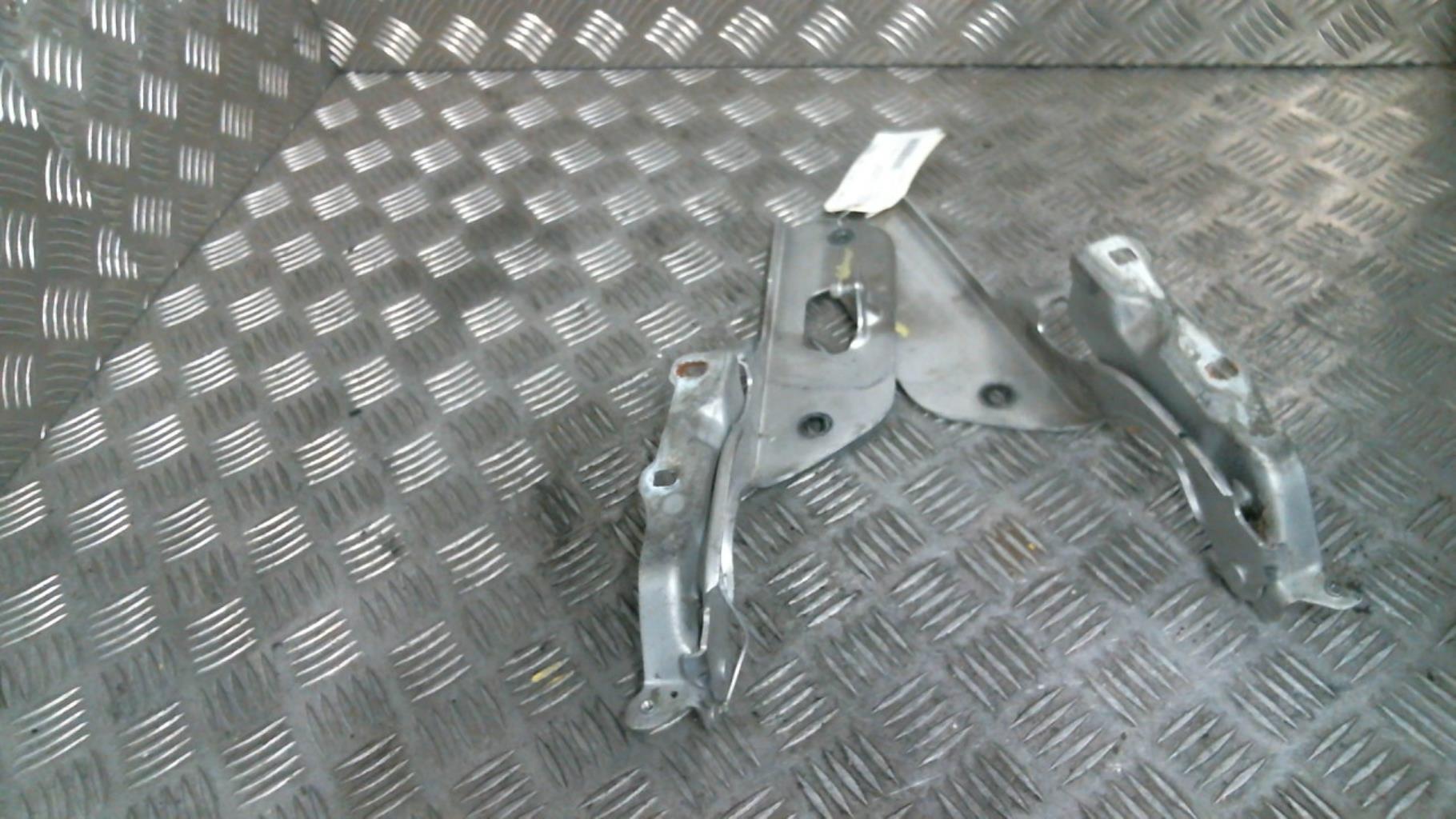 Cerniera cofano JEEP GRAND CHEROKEE 2 PHASE 1 Diésel - 1