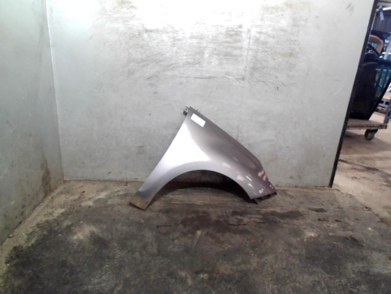 Aile avant droit RENAULT SCENIC 3 PHASE 1 Diesel - 1