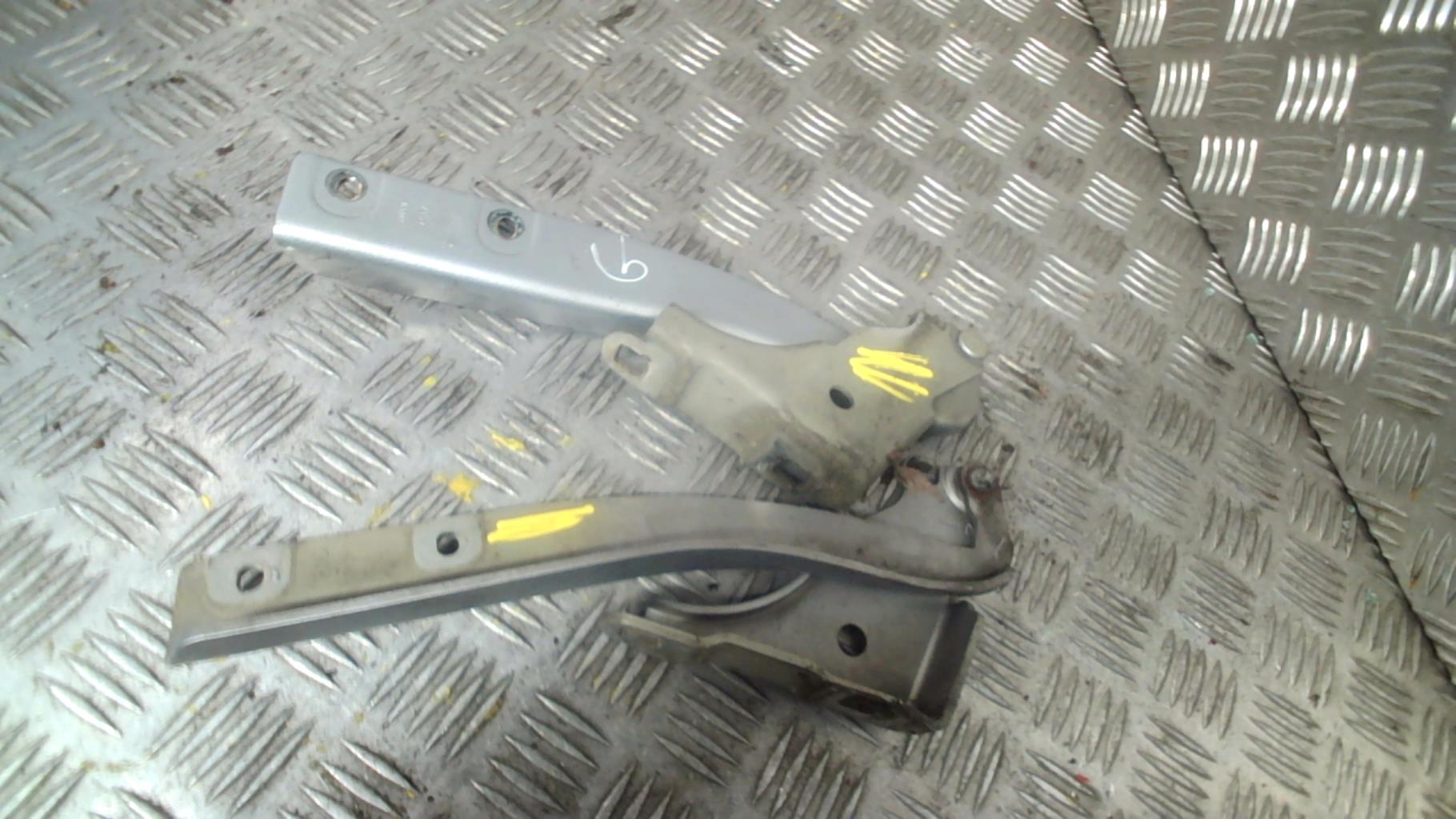 Cerniera cofano FIAT GRANDE PUNTO Gasolina - 1