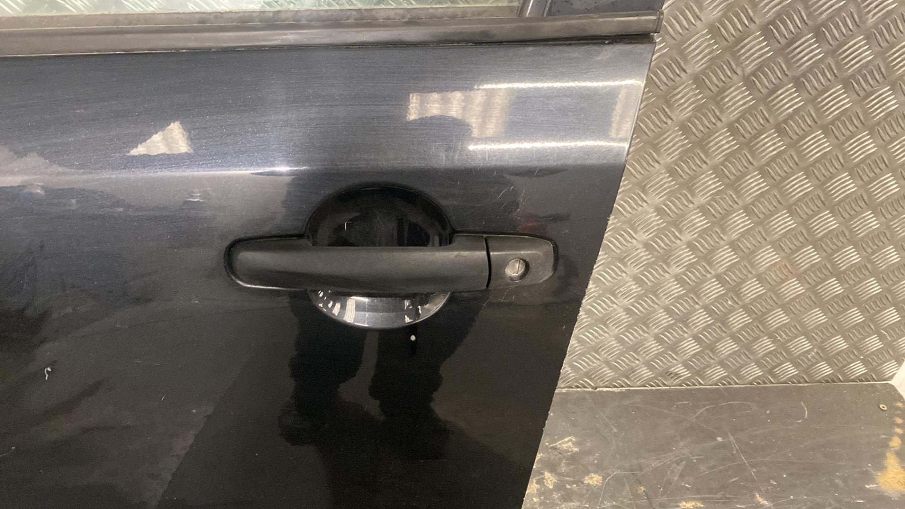 Portiera anteriore sinistra FIAT SEDICI PHASE 2 Gasolina - 1