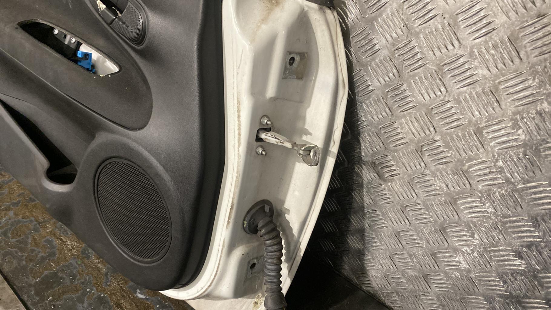 Portiera anteriore sinistra FIAT PUNTO EVO 3 Diésel - 1
