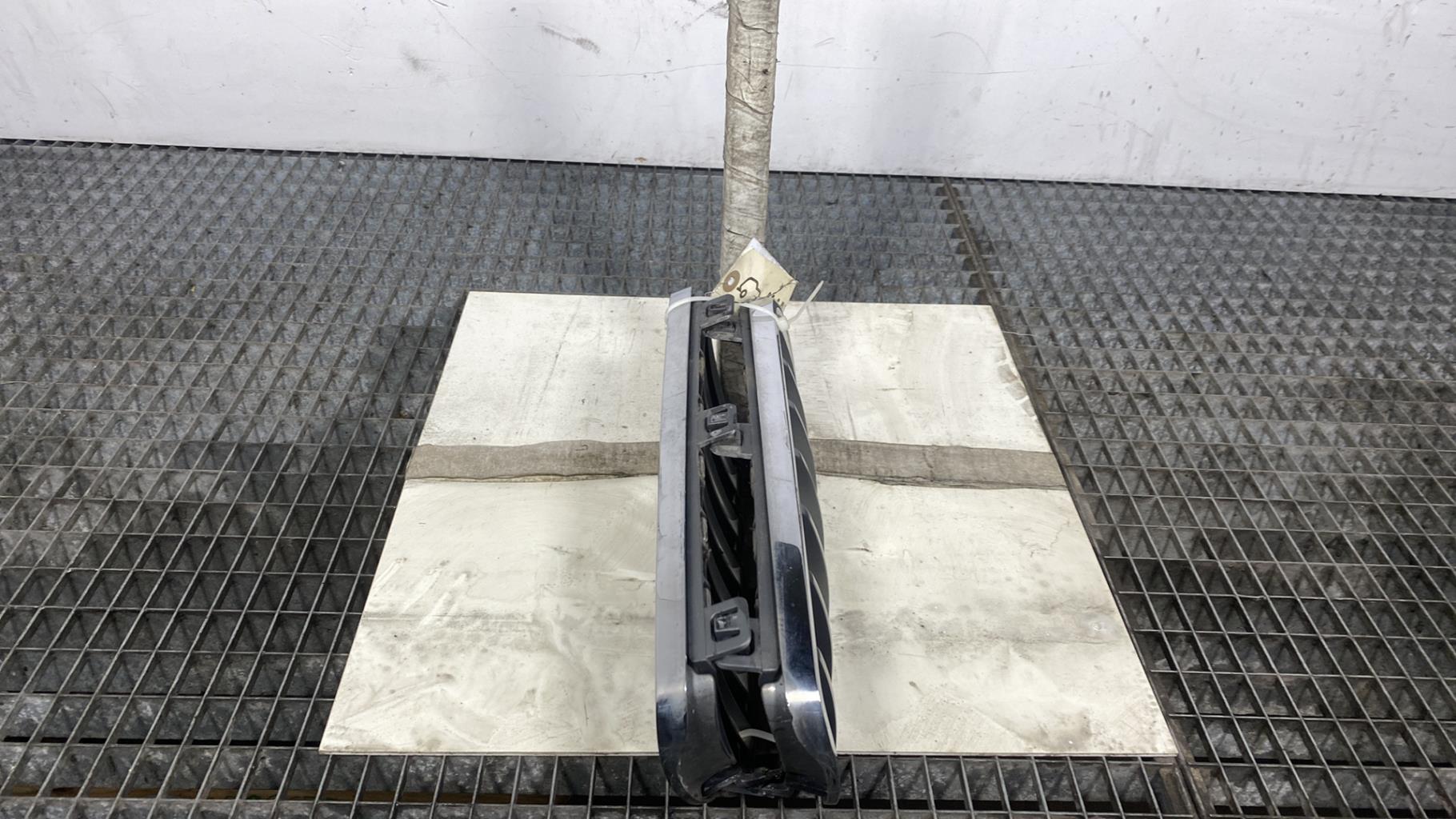 Calandre BMW X3 E83 PHASE 2 Diesel - 1