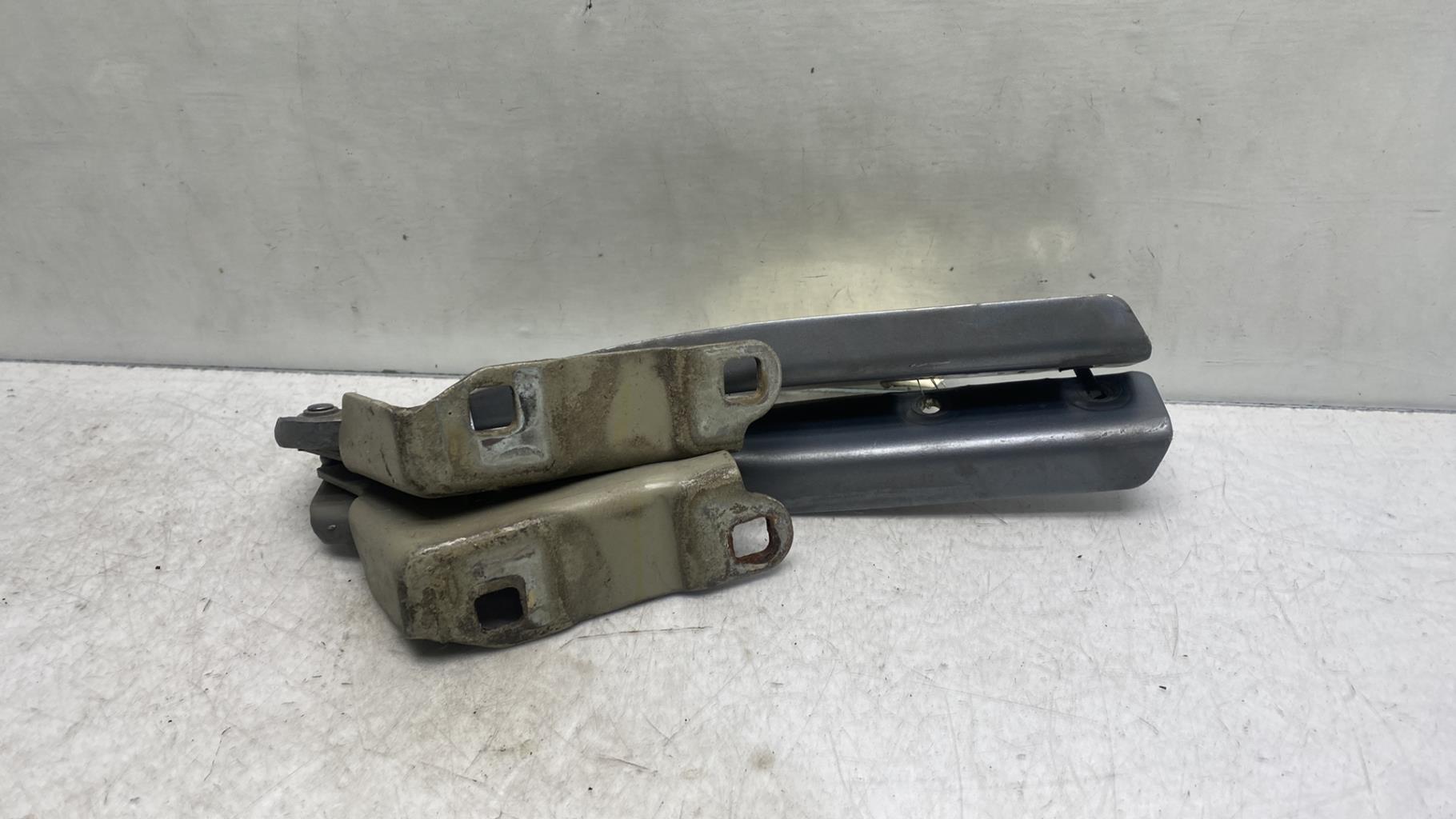 Cerniera cofano FIAT GRANDE PUNTO Gasolina - 1