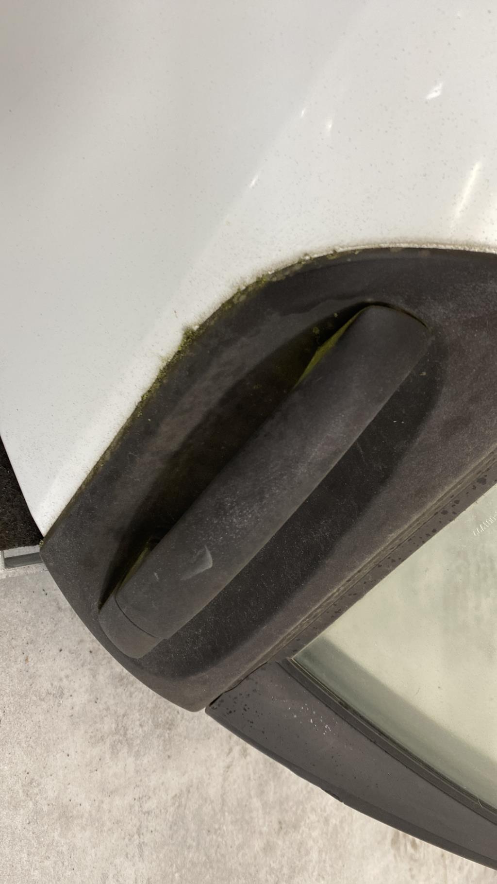 Portiera posteriore sinistra SMART FORFOUR 1 Gasolina - 1