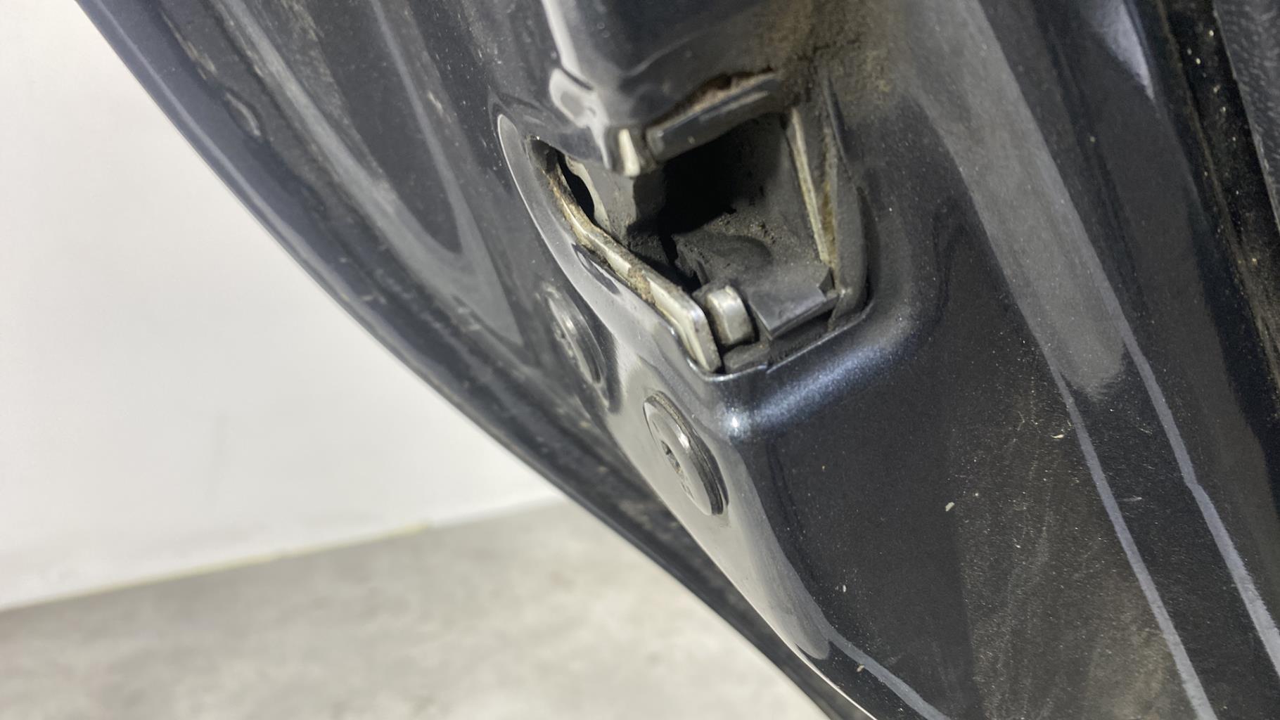 Portiera posteriore sinistra DACIA SANDERO 1 Gasolina/Etanol - 1
