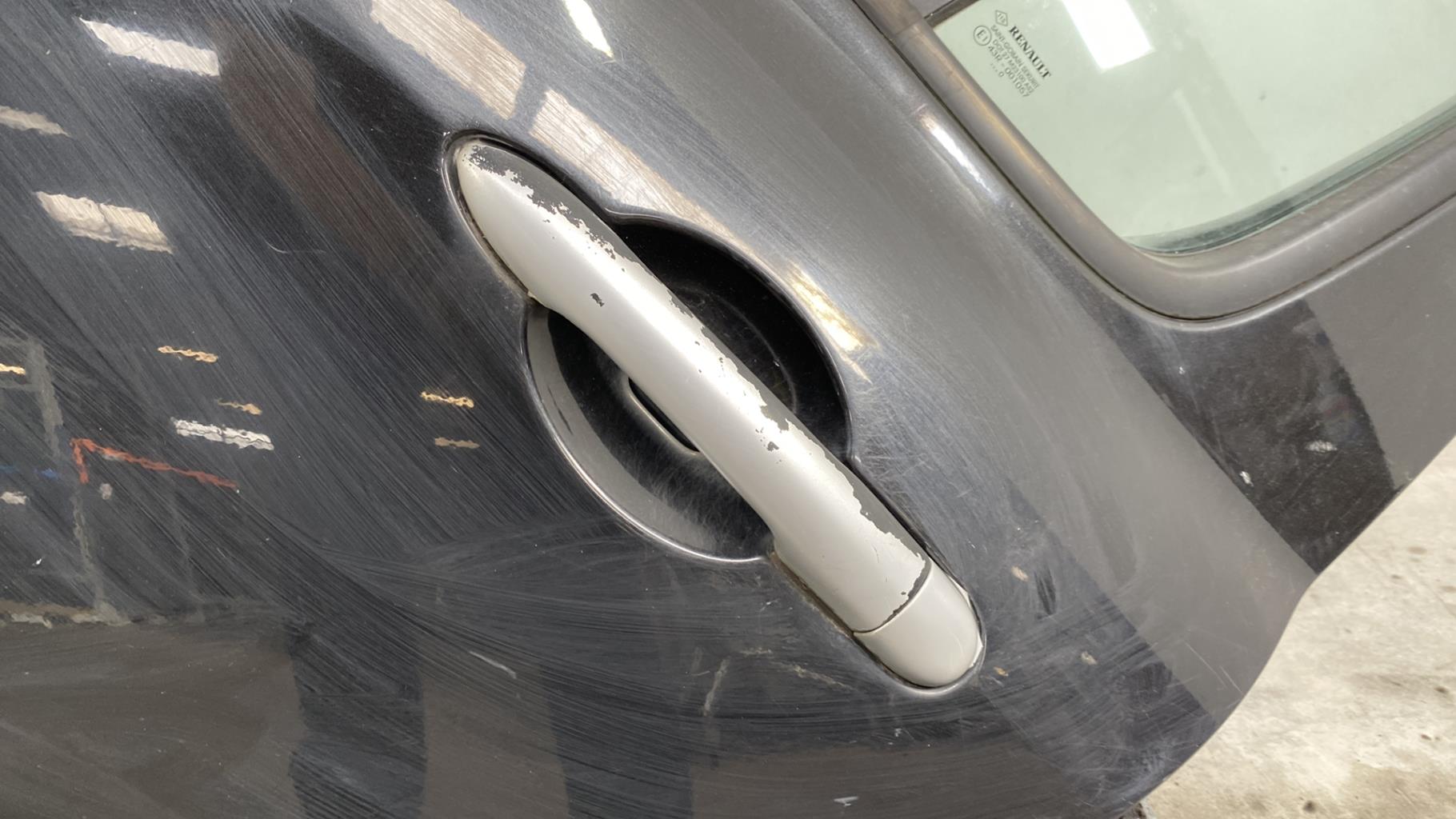 Portiera posteriore sinistra RENAULT CLIO 3 PHASE 2 Diésel - 1