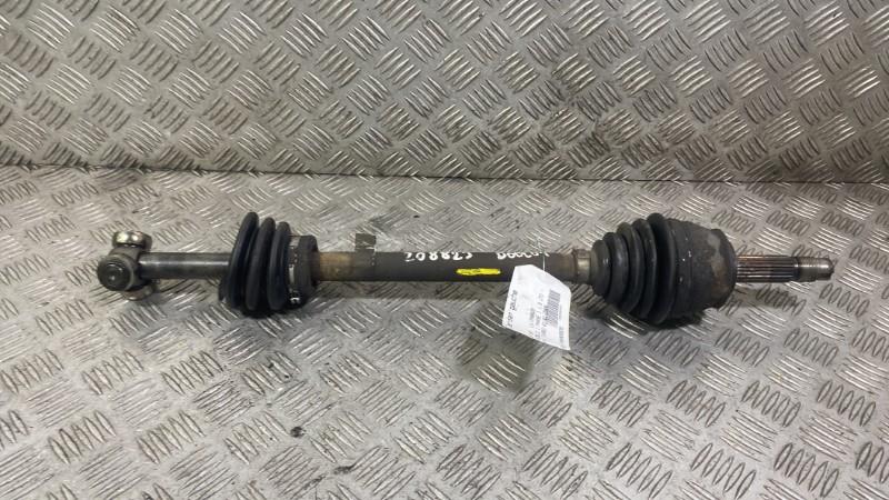 Giunto cardanico albero di trasmissione sinistro FIAT DOBLO 1 PHASE 1 Diésel - 1