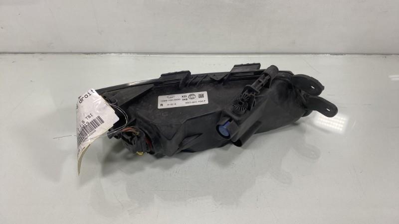 Fendinebbia destro (luci) SKODA OCTAVIA 3 PHASE 2 Gasolina - 1