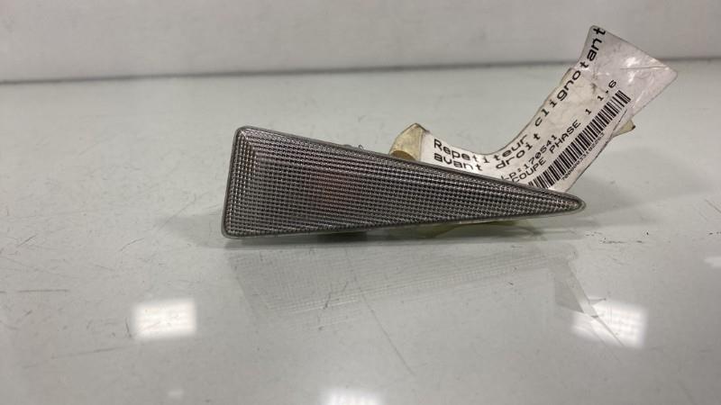 Ripetitore lampeggiante anteriore destro (Luci) RENAULT MEGANE 2 PHASE 1 Gasolina - 1