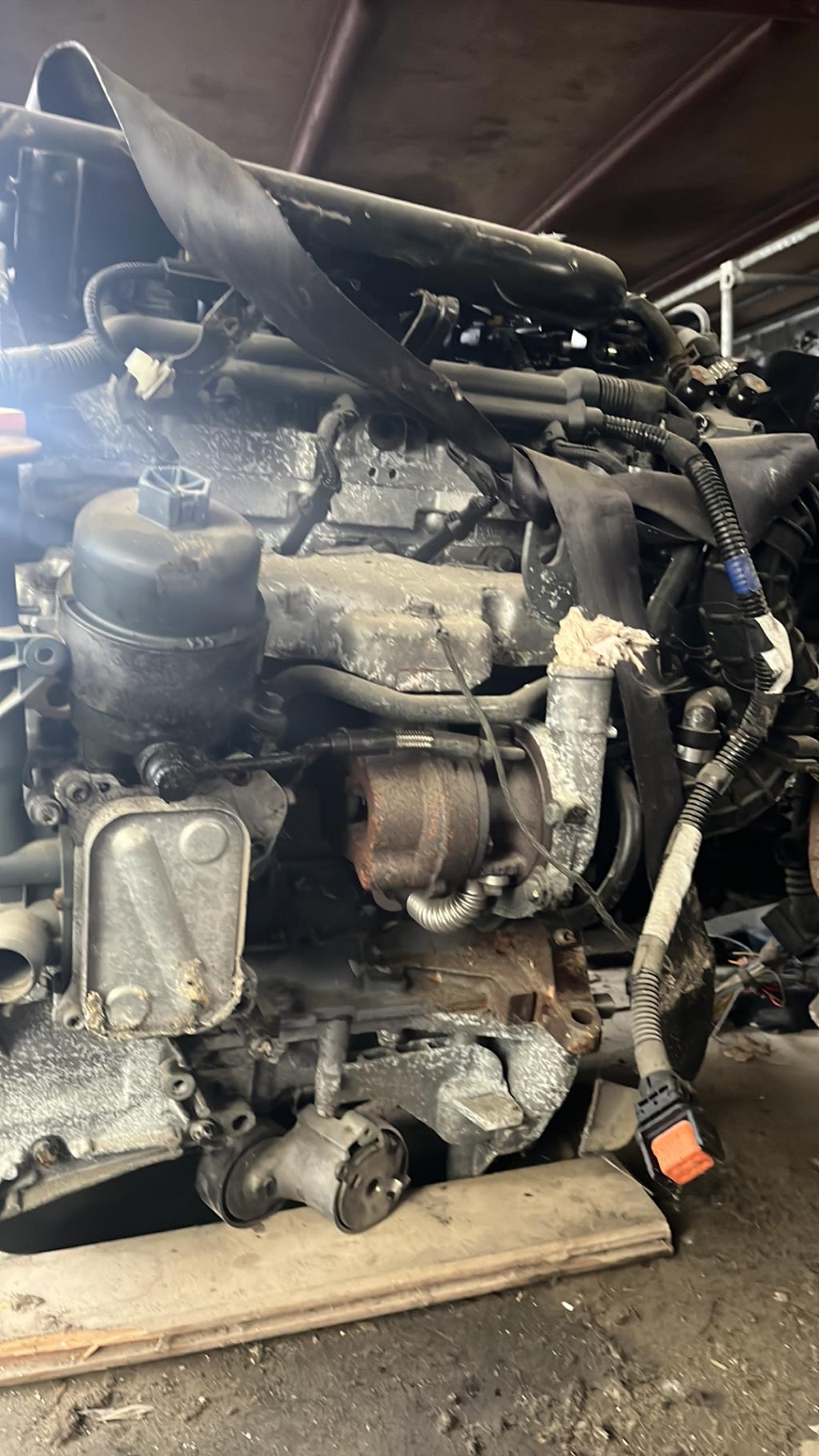 Moteur SUZUKI SWIFT 3 Diesel - 1