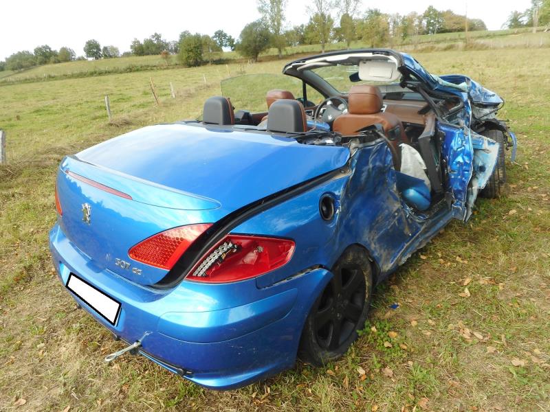 Image Ceinture arriere droit - PEUGEOT 307