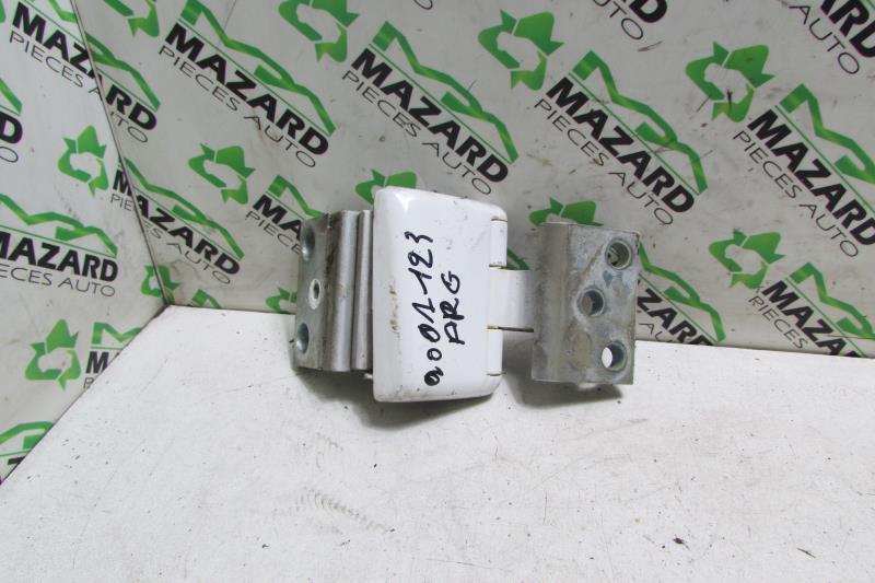 Cerniera porta bagagliaio sinistra PEUGEOT PARTNER 1 PHASE 2 Diésel - 1