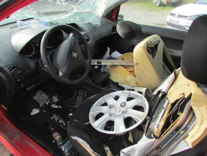 Image Amortisseur avant gauche - PEUGEOT 206+