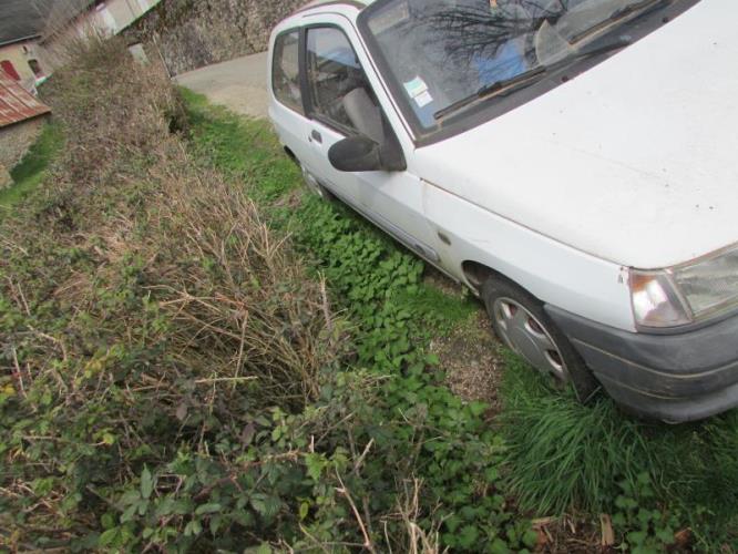 Image Neiman - RENAULT CLIO 1