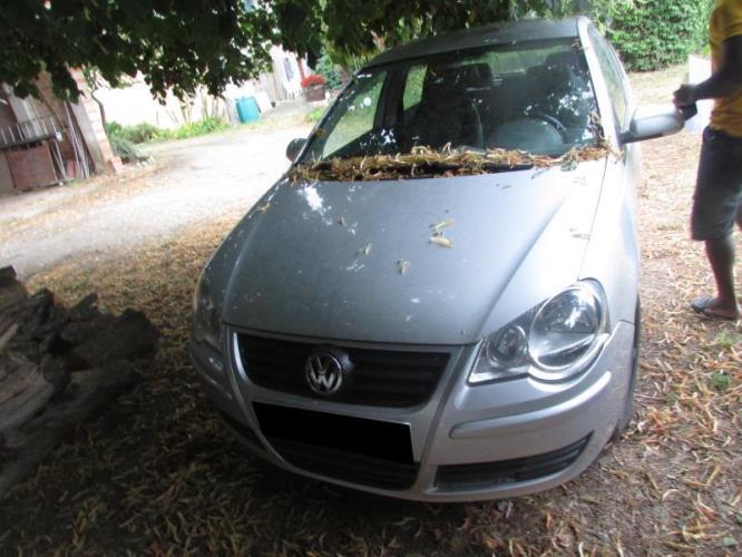 Image Moto ventilateur radiateur - VOLKSWAGEN POLO 4