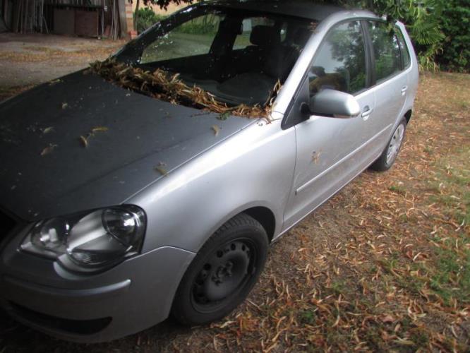 Image Moto ventilateur radiateur - VOLKSWAGEN POLO 4