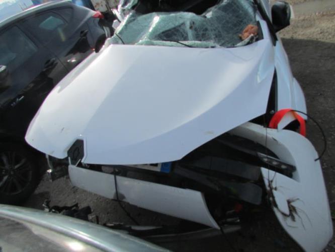 Image Verin de capot - RENAULT MEGANE 3