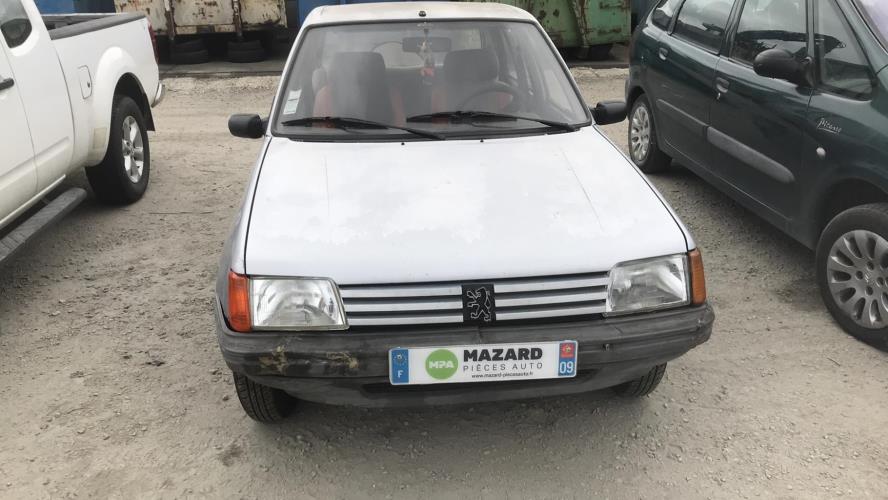 Image Custode arriere droit (porte) - PEUGEOT 205
