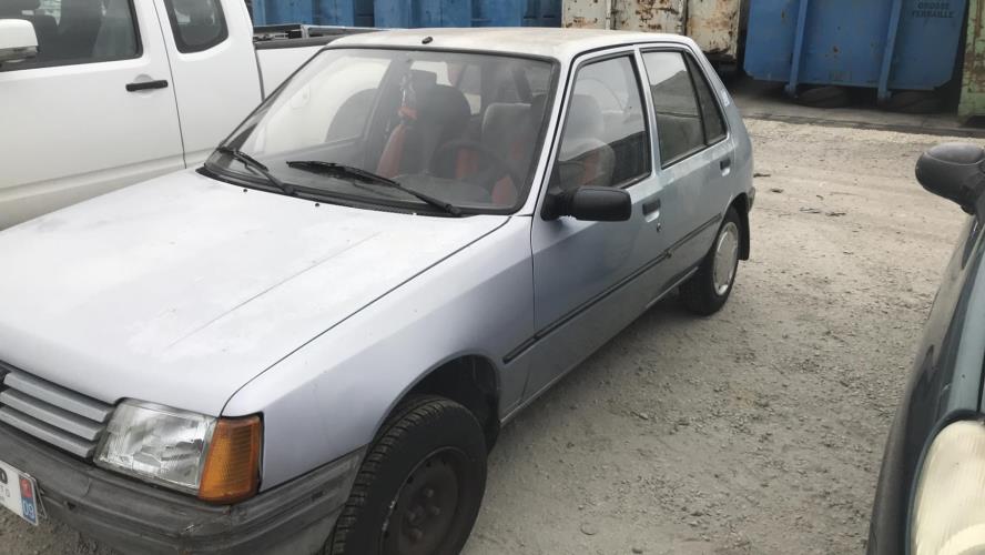Image Custode arriere droit (porte) - PEUGEOT 205