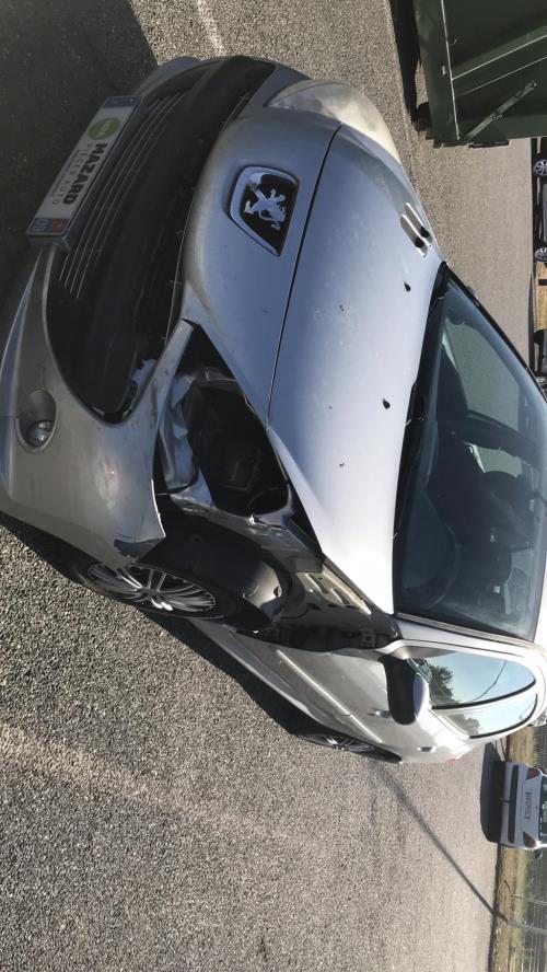 Image Capot - PEUGEOT 206+