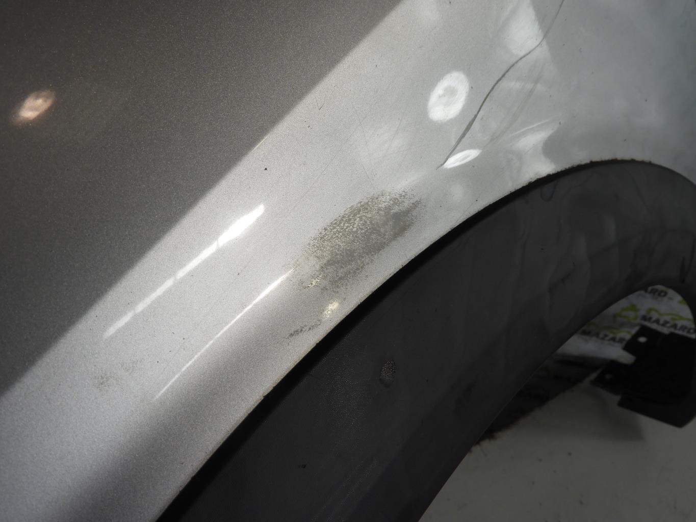 Parafango anteriore sinistro RENAULT SCENIC 2 PHASE 2 Diésel - 1