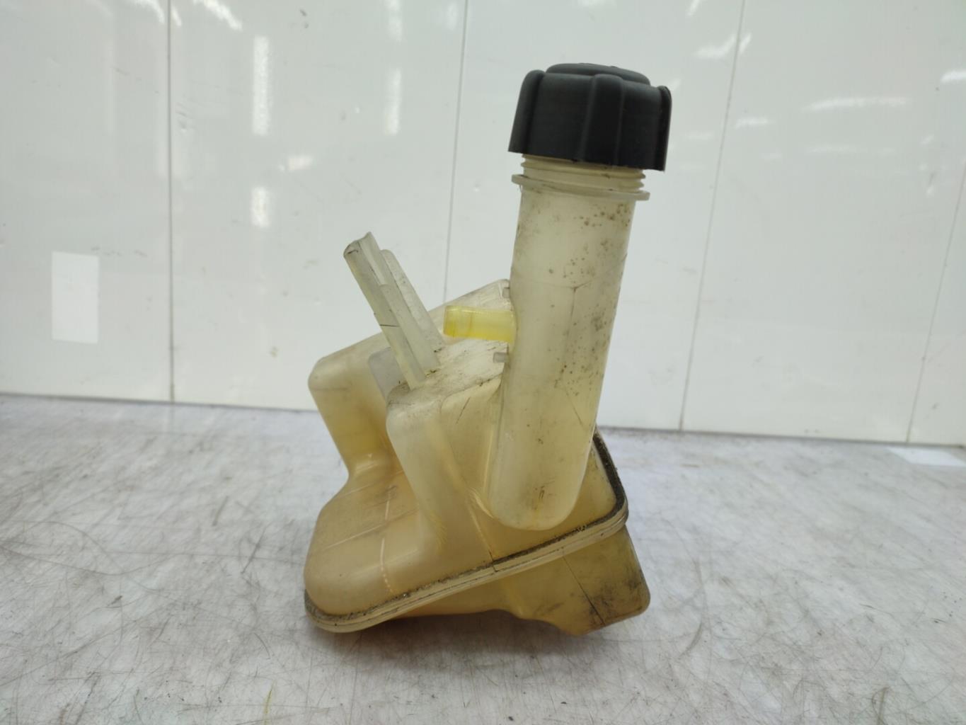 Vaso di espansione RENAULT LAGUNA 2 PHASE 1 Diésel - 1