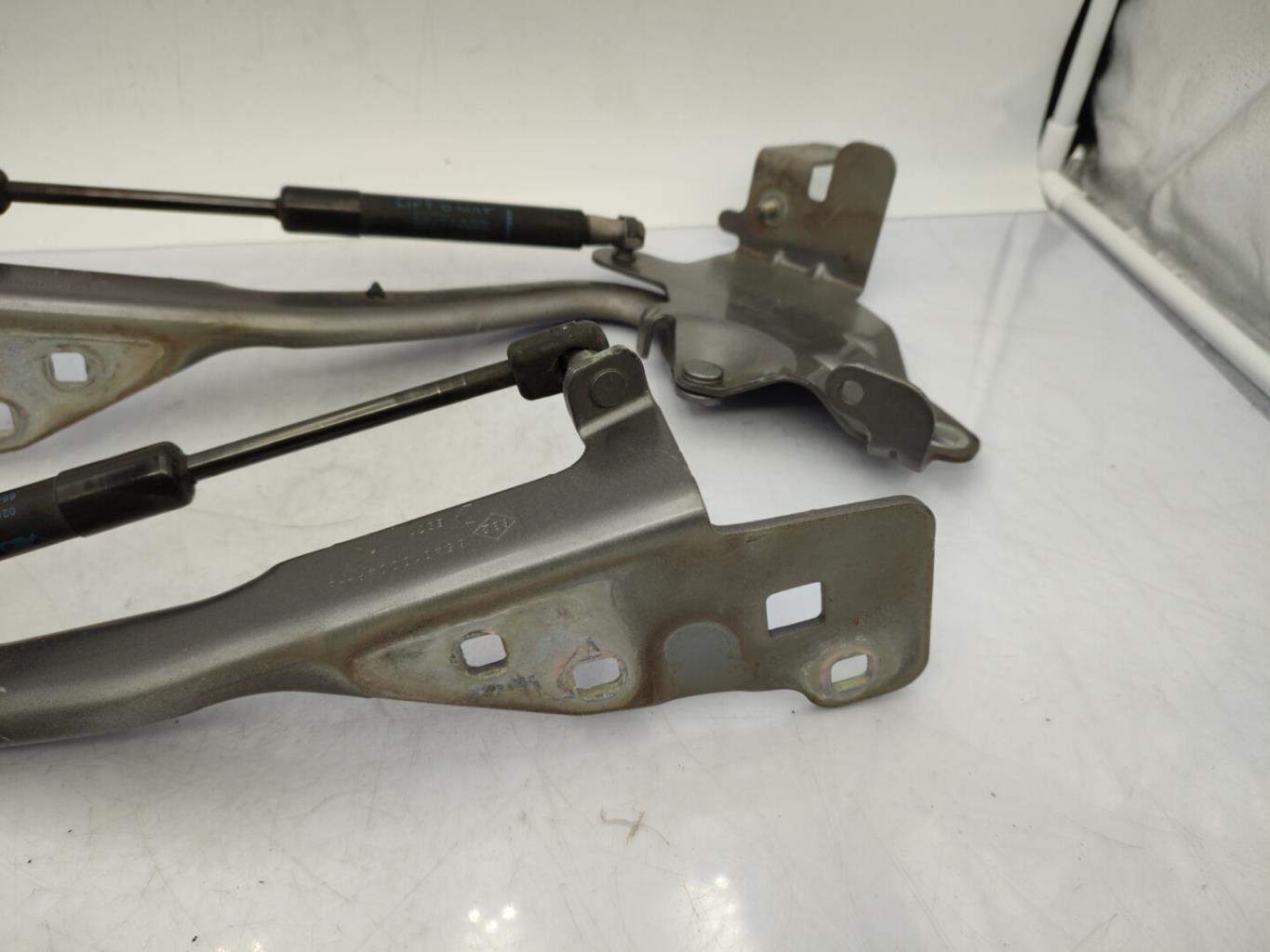 Charniere de capot RENAULT SCENIC 3 PHASE 1 Diesel - 1