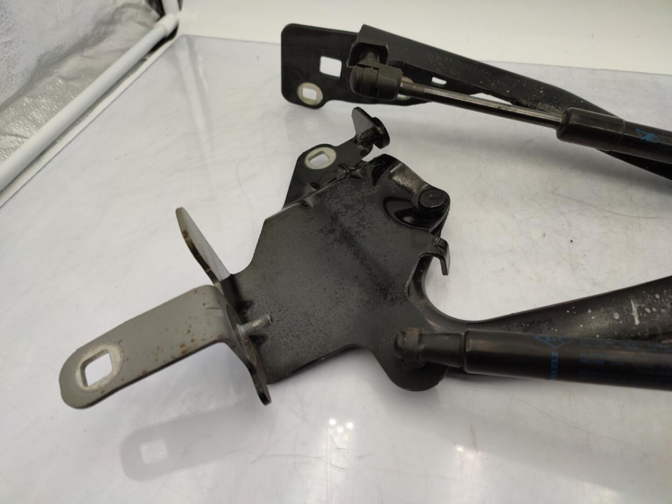 Charniere de capot RENAULT SCENIC 3 PHASE 3 Diesel - 1