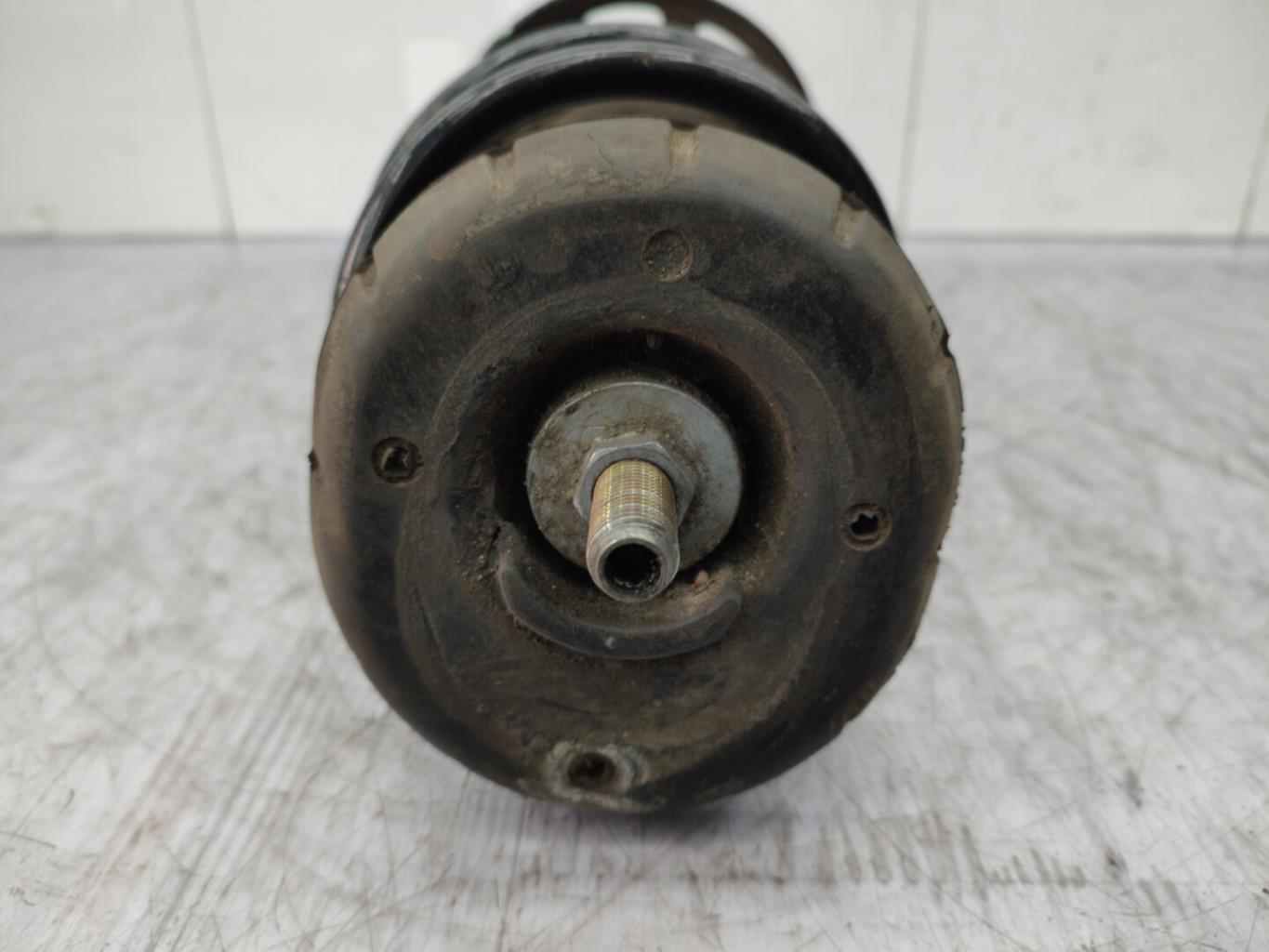 Ammortizzatore anteriore sinistro CITROEN C3 2 PHASE 1 Gasolina - 1
