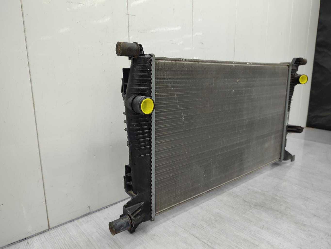 Radiateur eau RENAULT SCENIC 3 PHASE 3 Diesel - 1