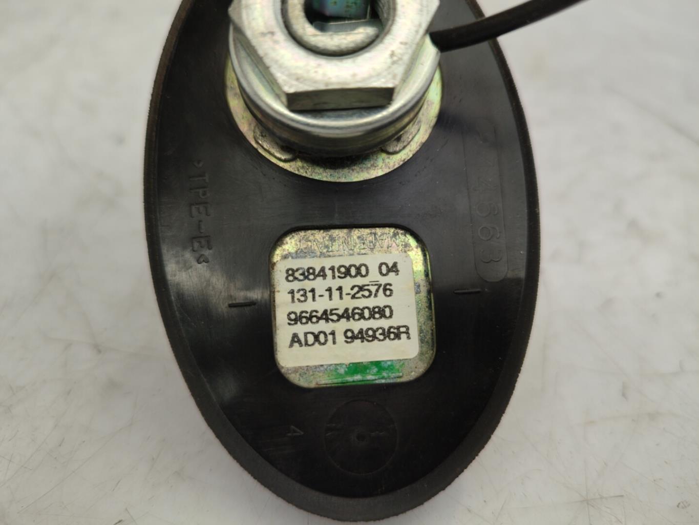 Antenne CITROEN C5 2 BREAK Diesel - 1