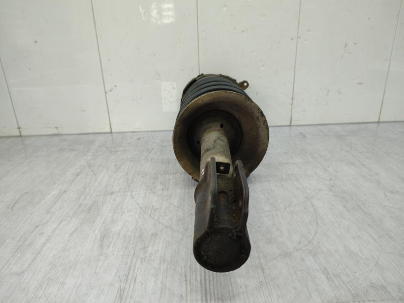 Ammortizzatore anteriore sinistro RENAULT R19 PHASE 2 Diésel - 1