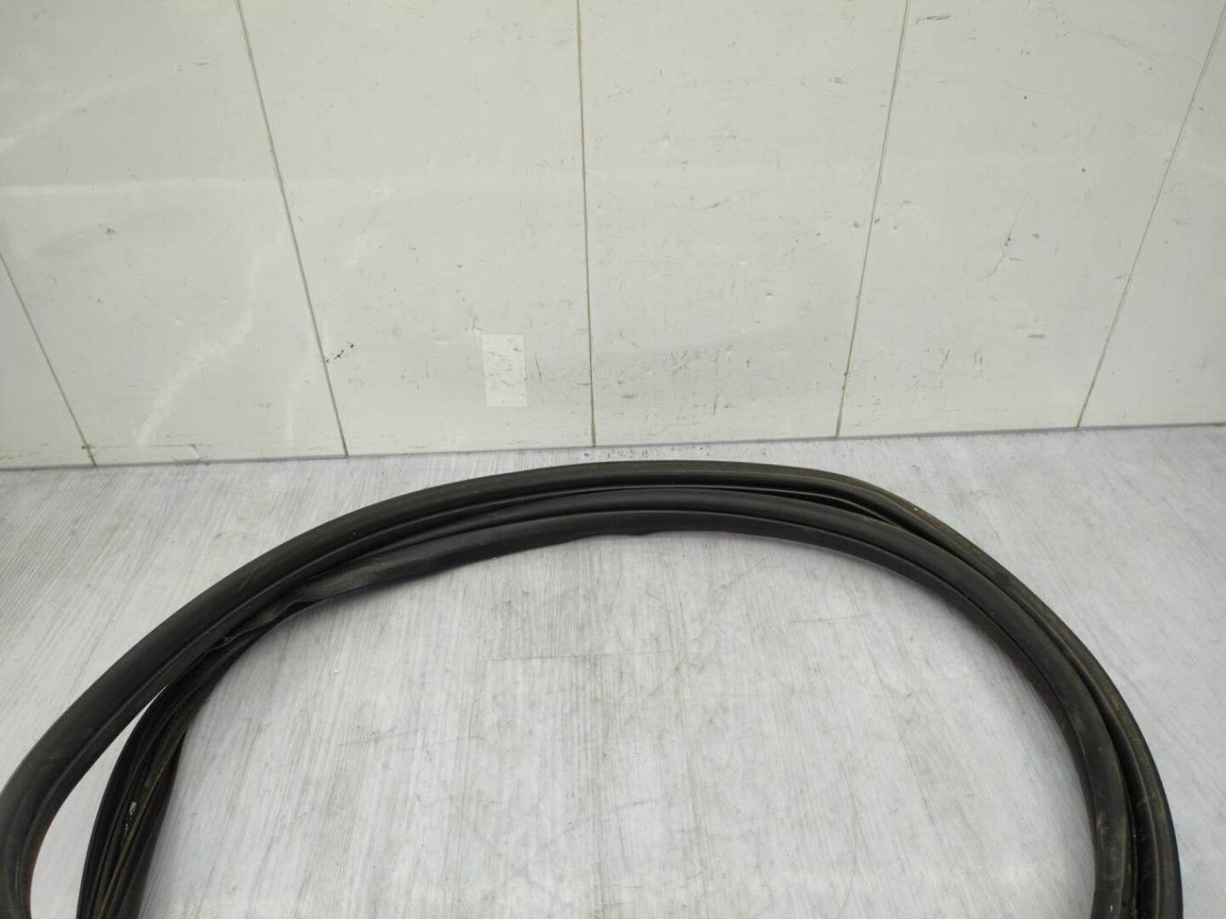 Guarnizione sportello anteriore sinistro FORD KA 2 PHASE 2 Gasolina - 1