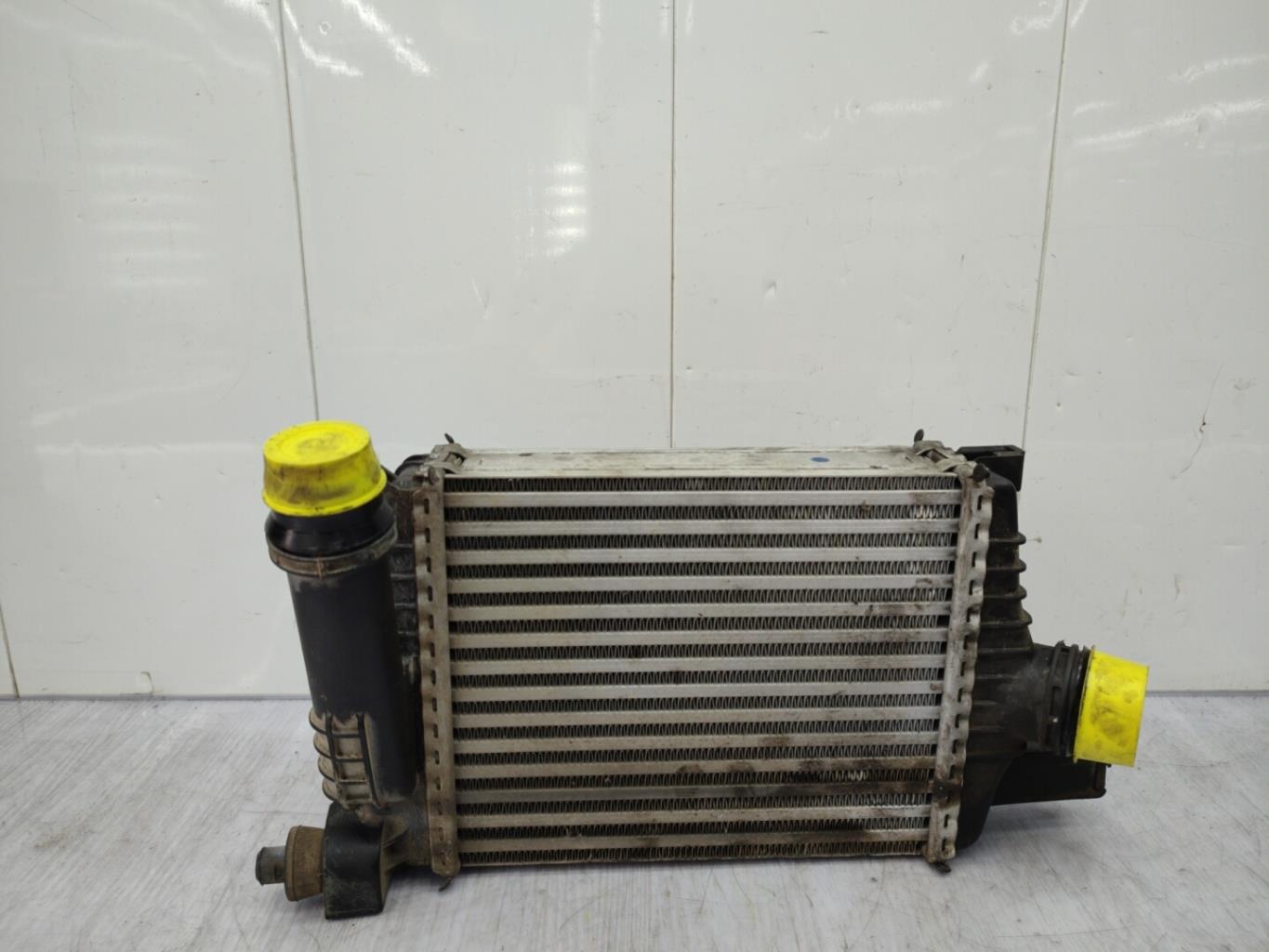 Echangeur air (Intercooler) DACIA DUSTER 1 PHASE 2 Essence - 1