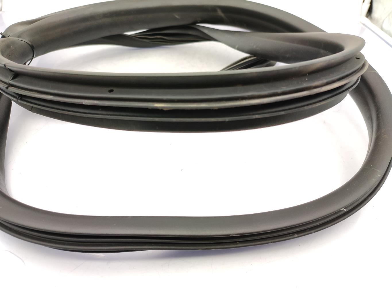 Guarnizione sportello anteriore destro RENAULT GRAND SCENIC 3 PHASE 3 Diésel - 1