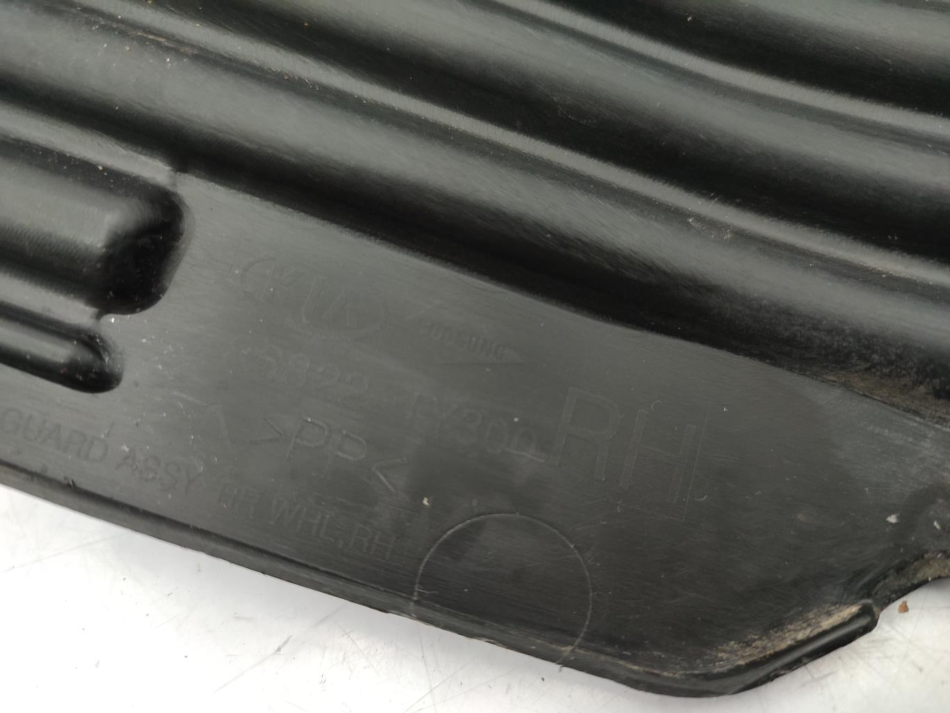 Parasale posteriore destro KIA PICANTO 2 PHASE 1 Gasolina - 1
