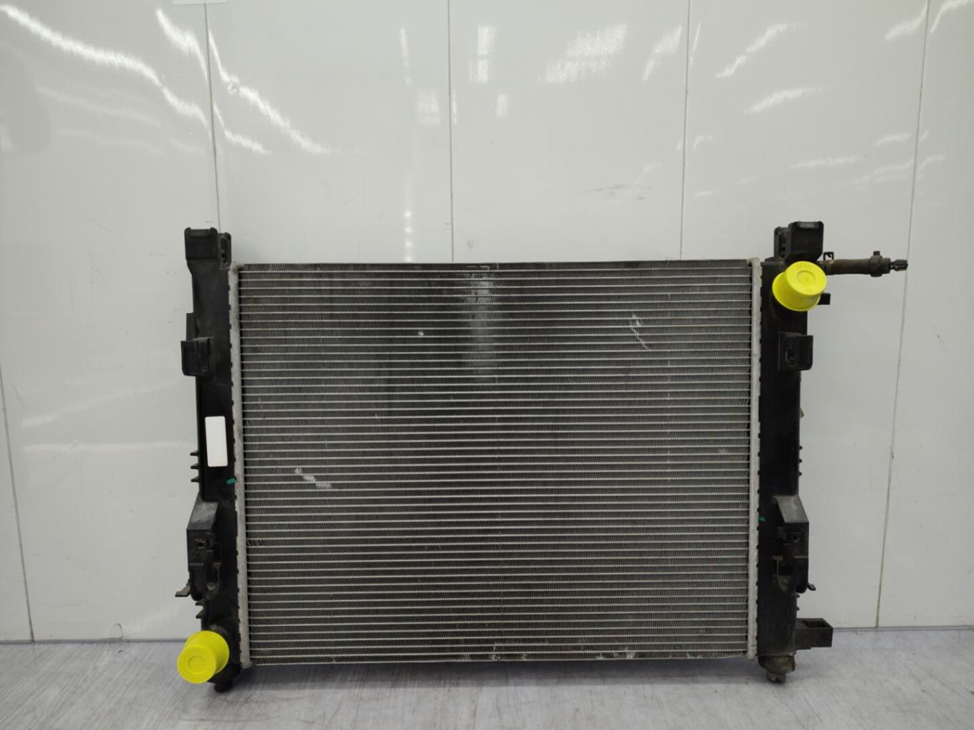 Radiateur eau DACIA DUSTER 1 PHASE 2 Essence - 1