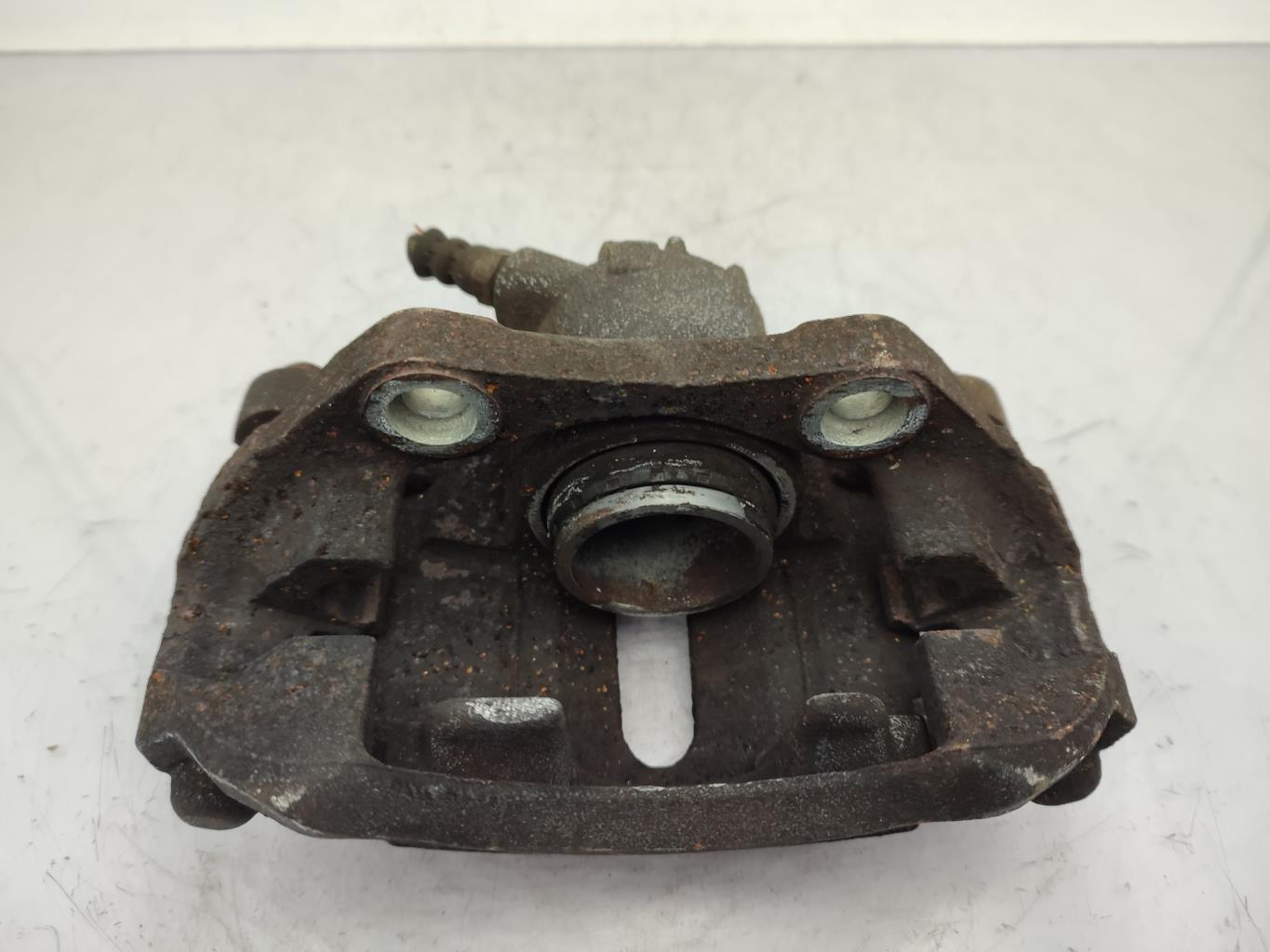 Pinza freni anteriore sinistra PEUGEOT 206+ Diésel - 1