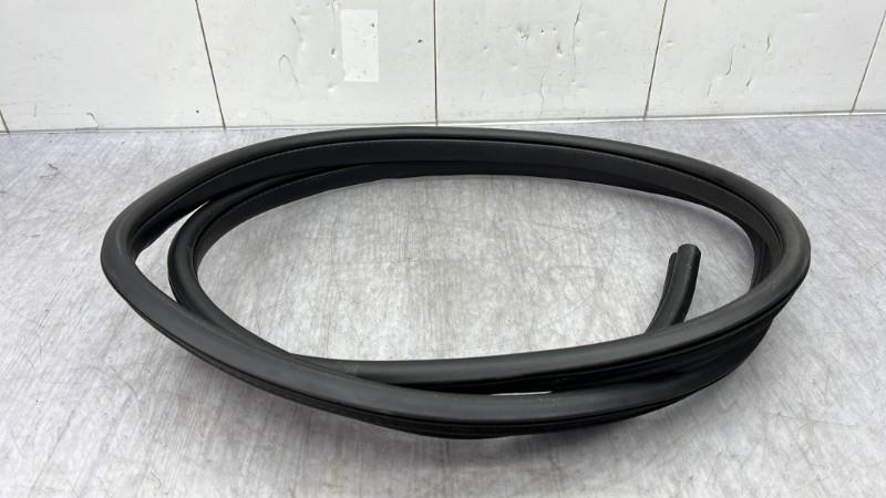 Guarnizione sportello posteriore sinistro NISSAN MICRA 5 Gasolina - 1