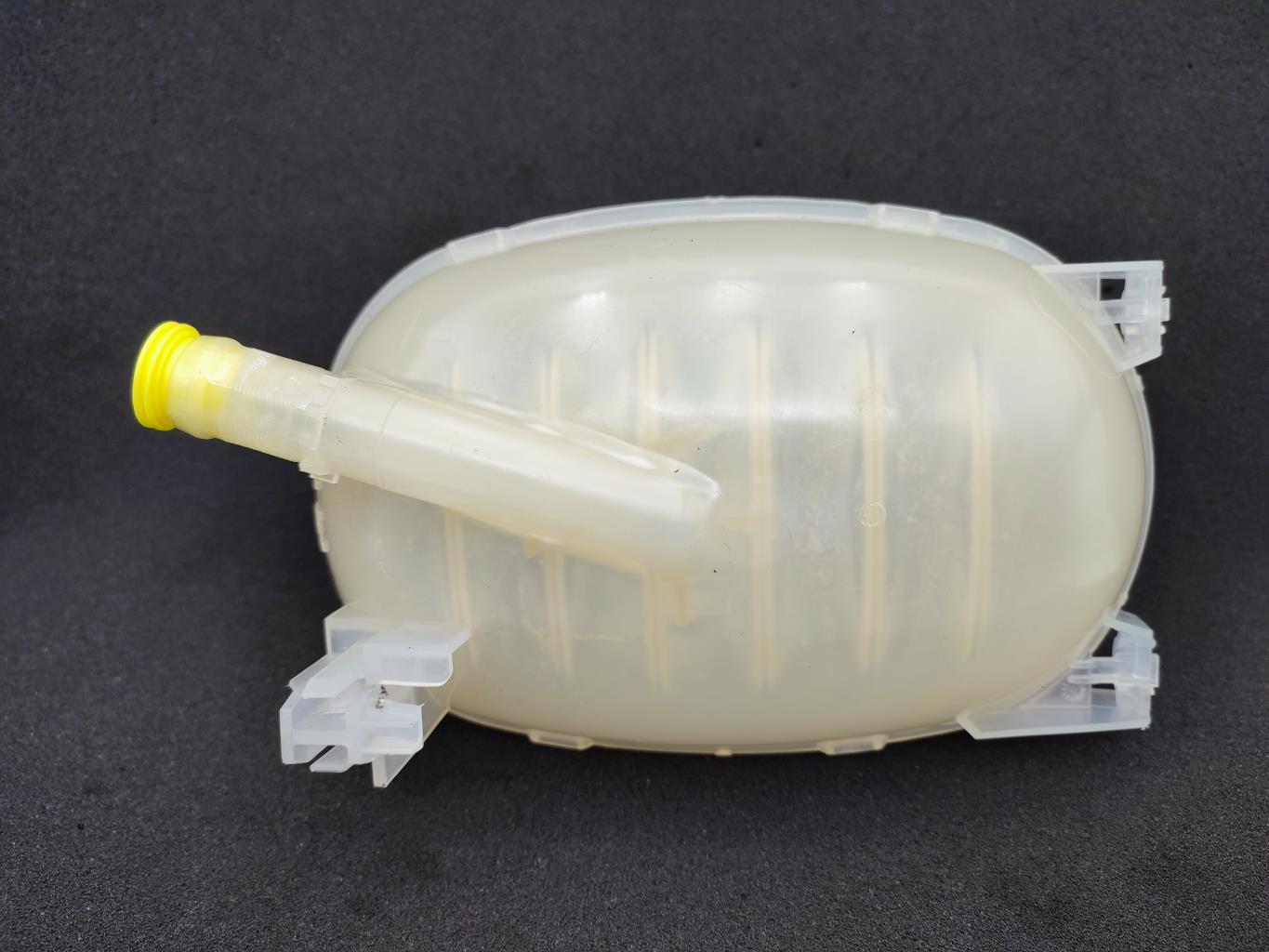 Vaso di espansione DACIA SANDERO 3 Gasolina - 1