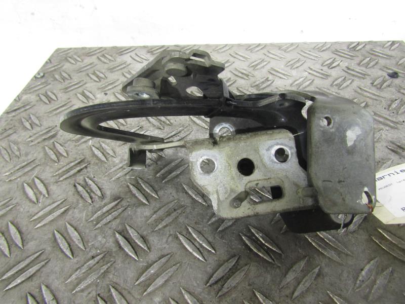 Cerniera cofano PEUGEOT 1007 Gasolina - 1