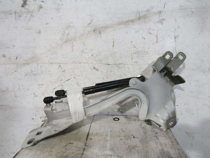 Charniere de capot RENAULT SCENIC 3 PHASE 1 Diesel - 1