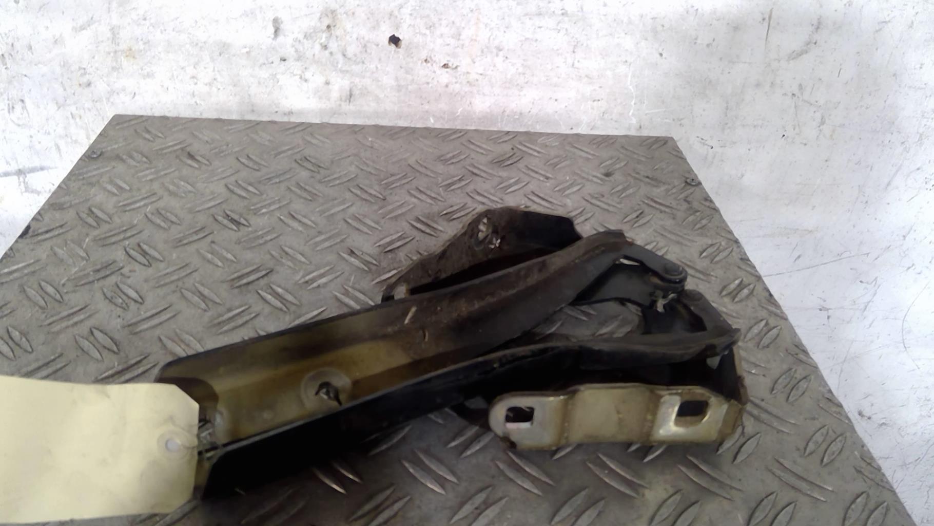 Cerniera cofano FIAT PUNTO EVO 3 Diésel - 1