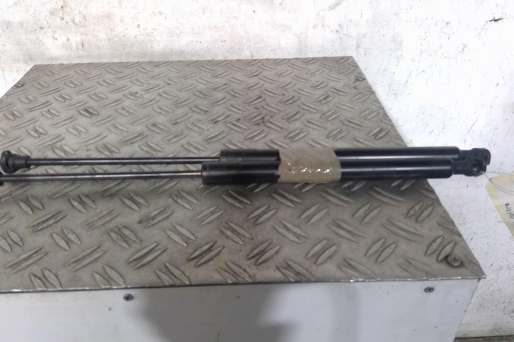 Molla a gas bagagliaio RENAULT ZOE 1 Electricidad - 1