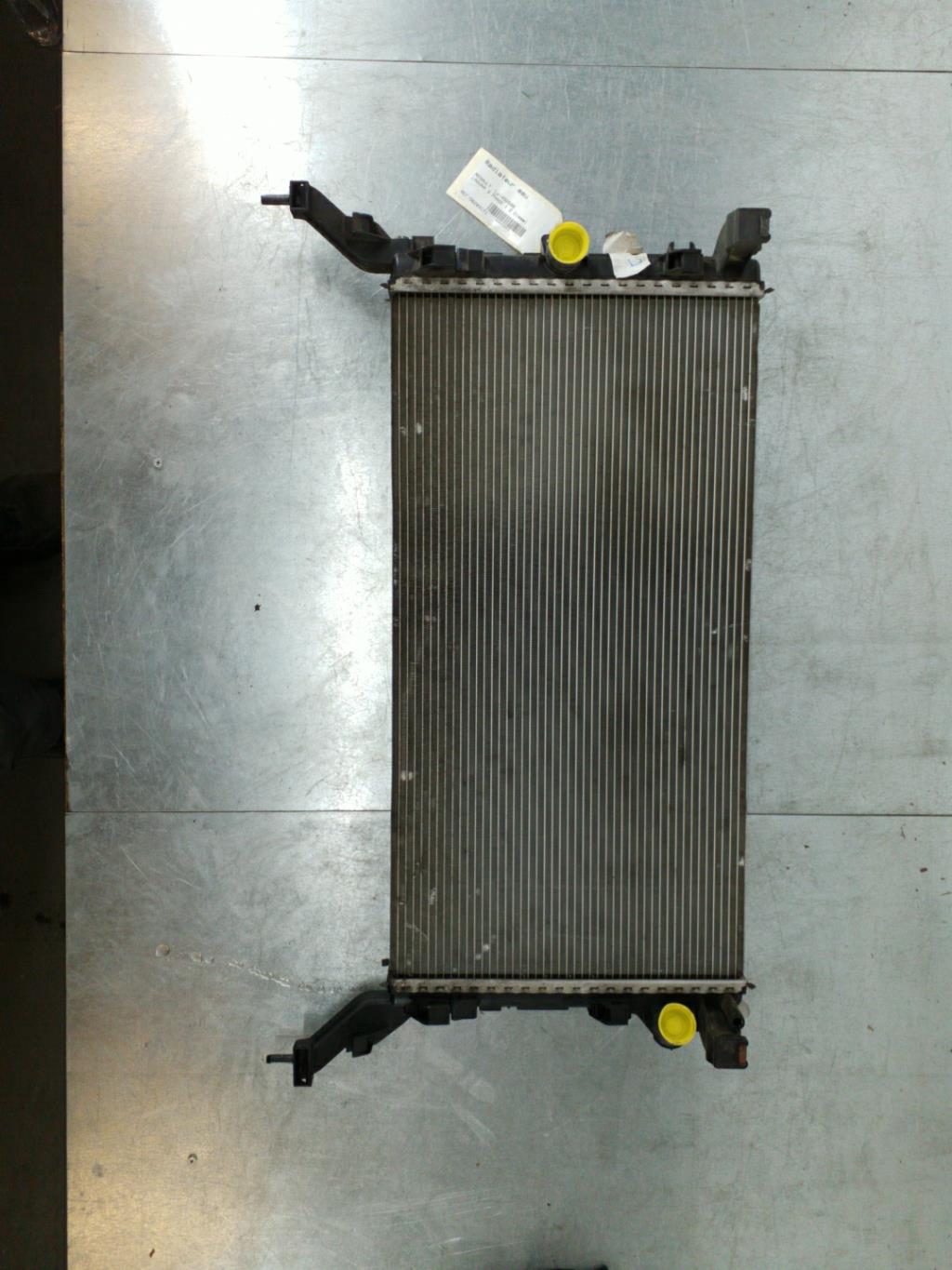 Radiateur eau RENAULT LAGUNA 3 PHASE 1 Diesel - 1