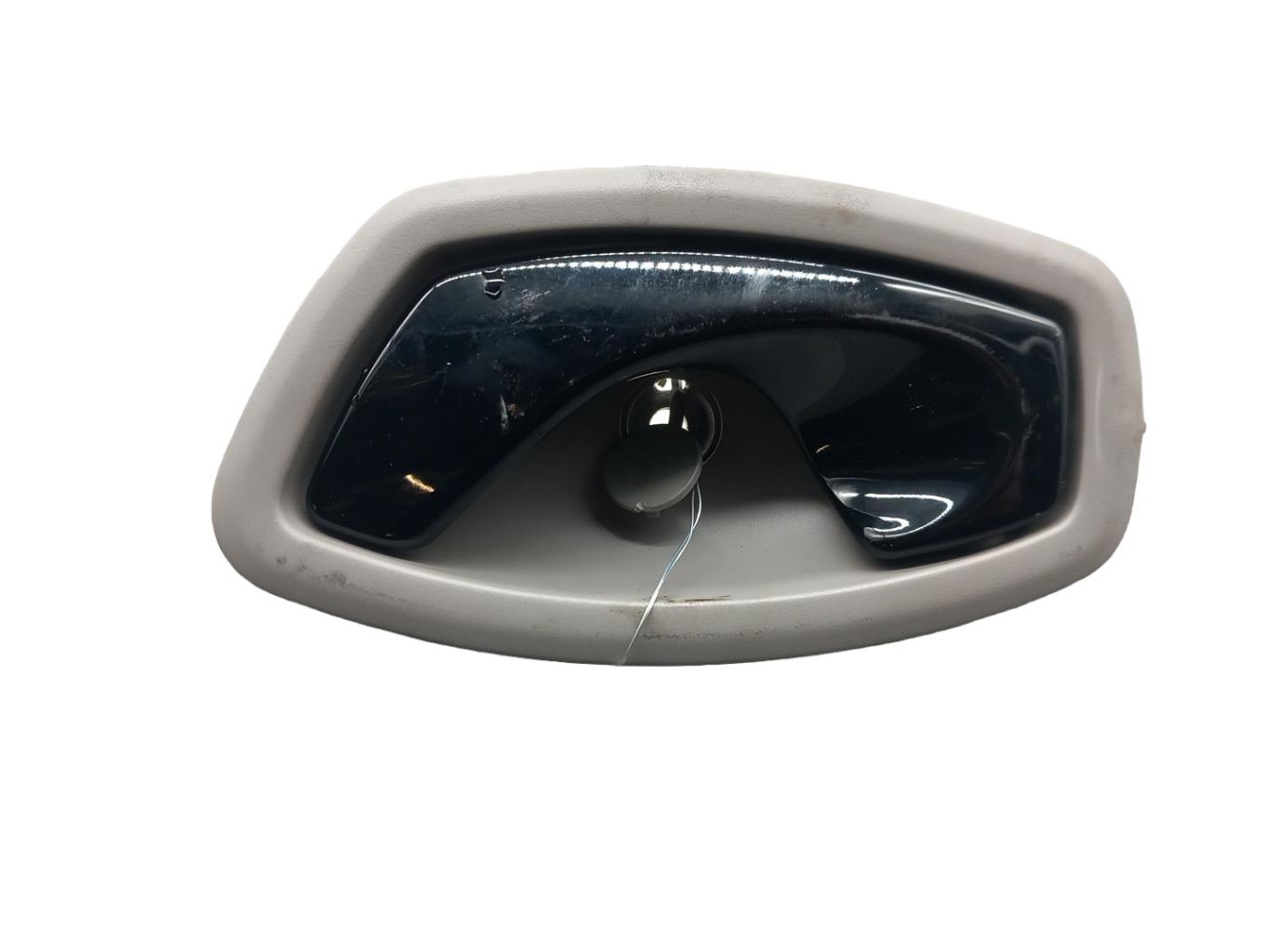 Maniglia interna anteriore sinistra RENAULT ZOE Electricidad - 1
