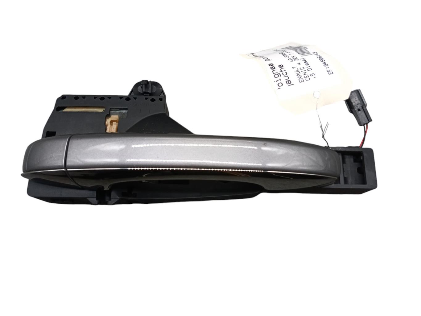 Maniglia portiera posteriore sinistra RENAULT SCENIC 4 Diésel - 1