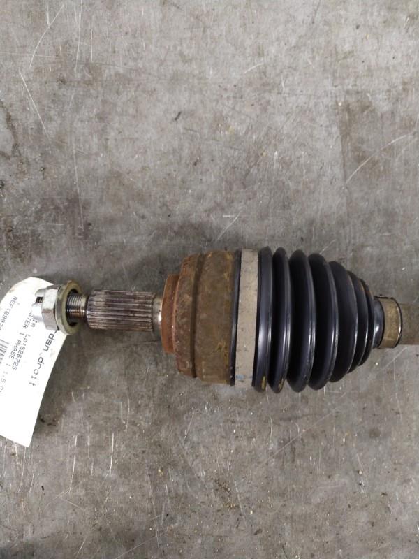 Cardan droit (transmission) DACIA DUSTER 1 PHASE 1 Diesel - 1